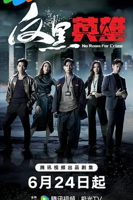 《反黑英雄国语》:警匪对决,正义与邪恶的较量!