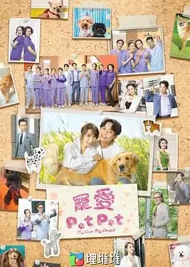 《宠爱PetPet国语》:萌宠治愈系电影,温暖你的心