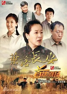 《叶落长安》:时代洪流下的个人史诗,命运与选择