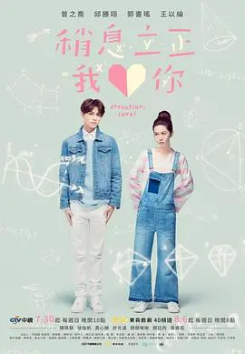 《稍息立正我爱你》:甜度超标的青春恋爱,唤醒你的少女心!