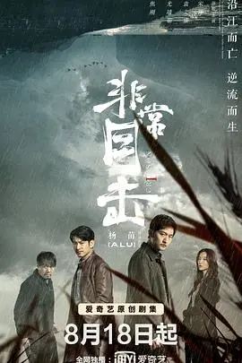 《非常目击》:迷雾重重的真相,时间与记忆交织的悬疑之网!